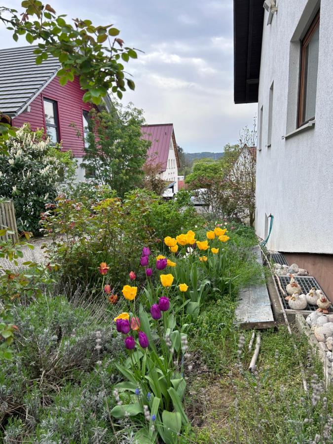 Apartamento Michistrasse Forchheim (Bavaria)